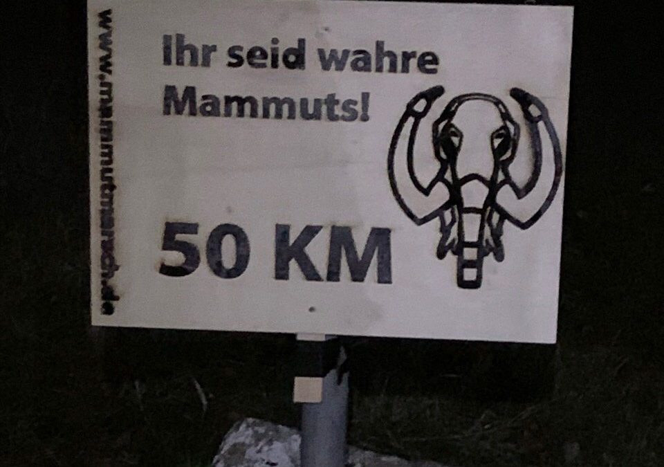 Challenge Mammutmarsch: 55km durch Berlin (Little Mammut, 2019)